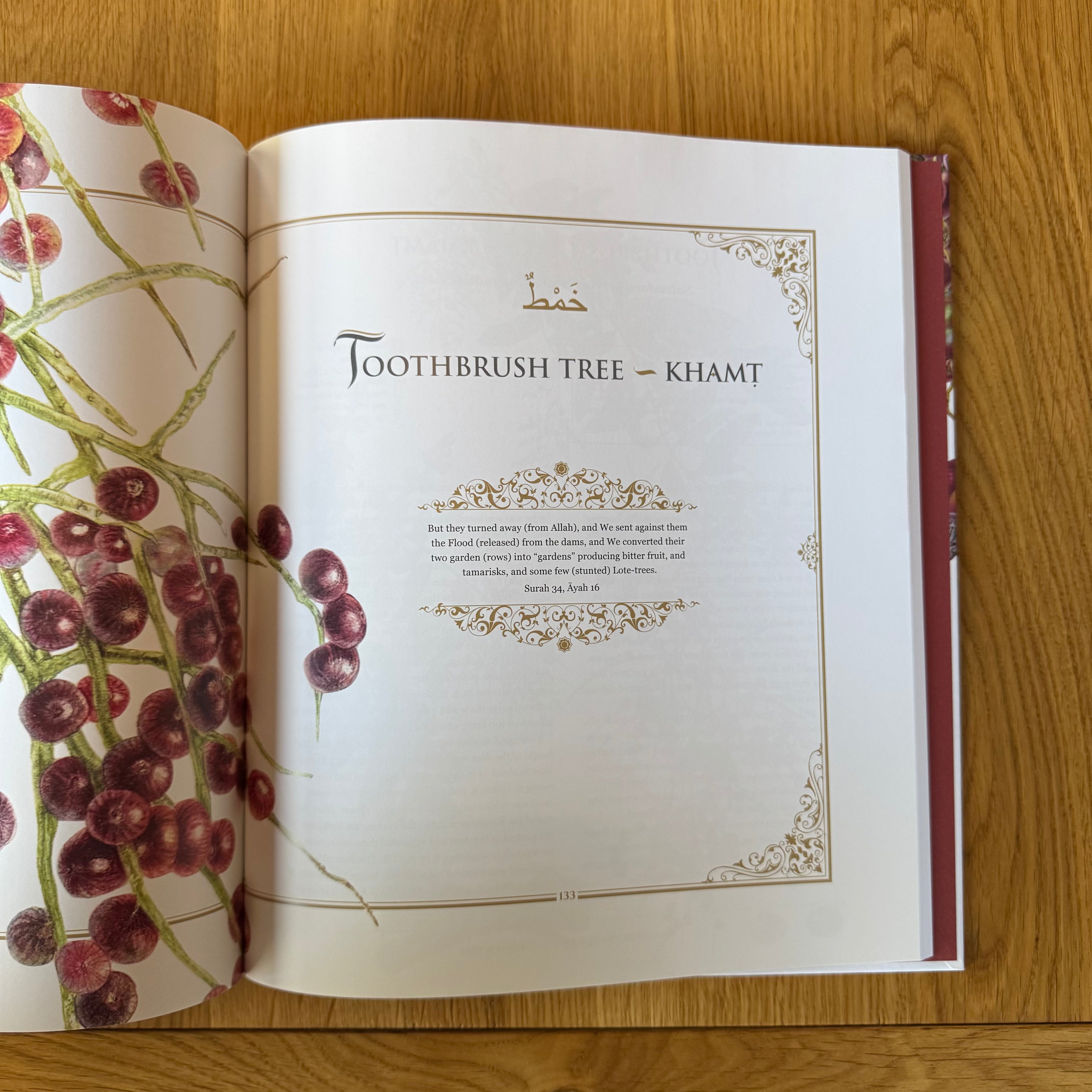 Plants of the Quran by Shahina A. Ghazanfar and Sue Wickison