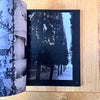 Good News Magazine, Issue 2
