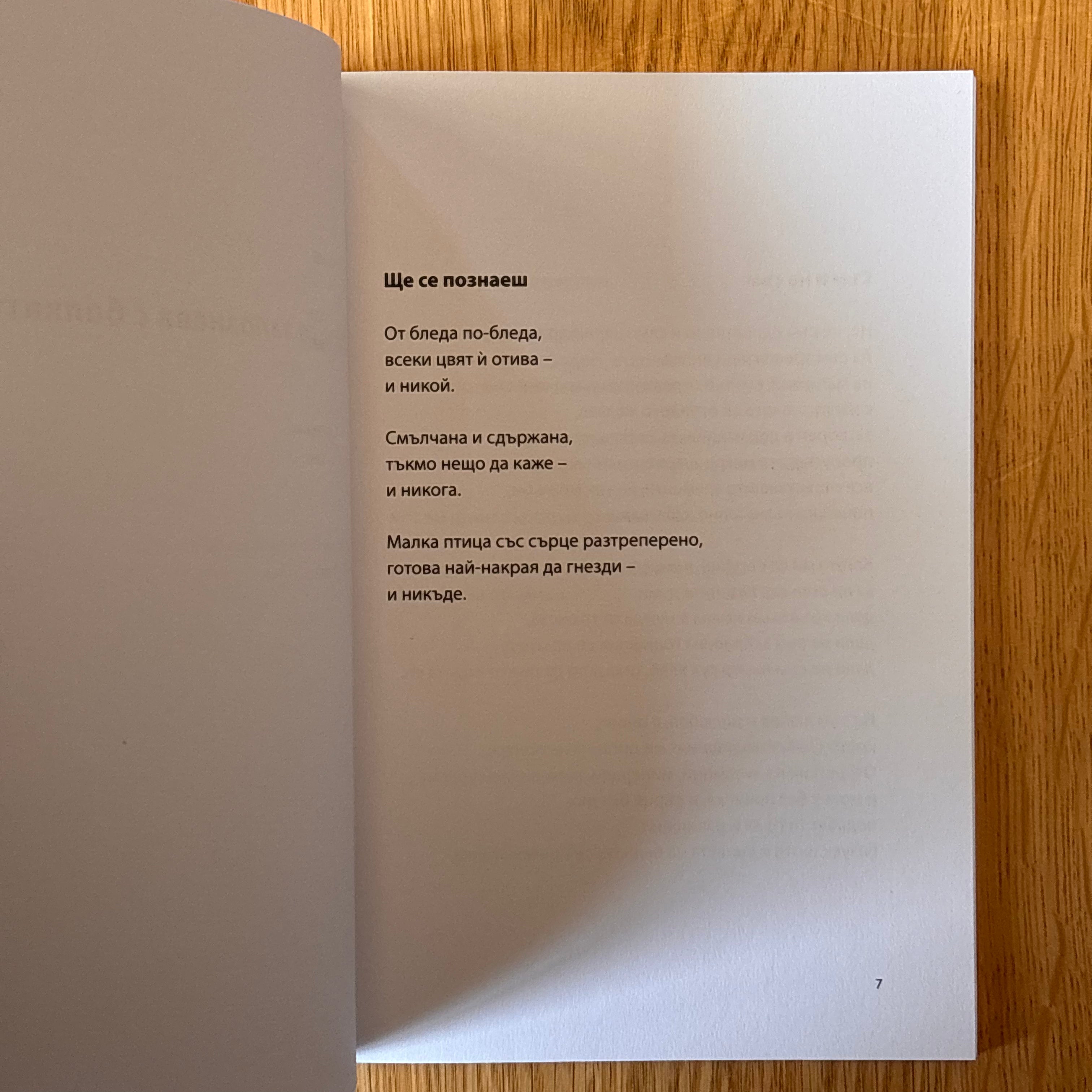 Птица със страх от високото от Катя Димитрова