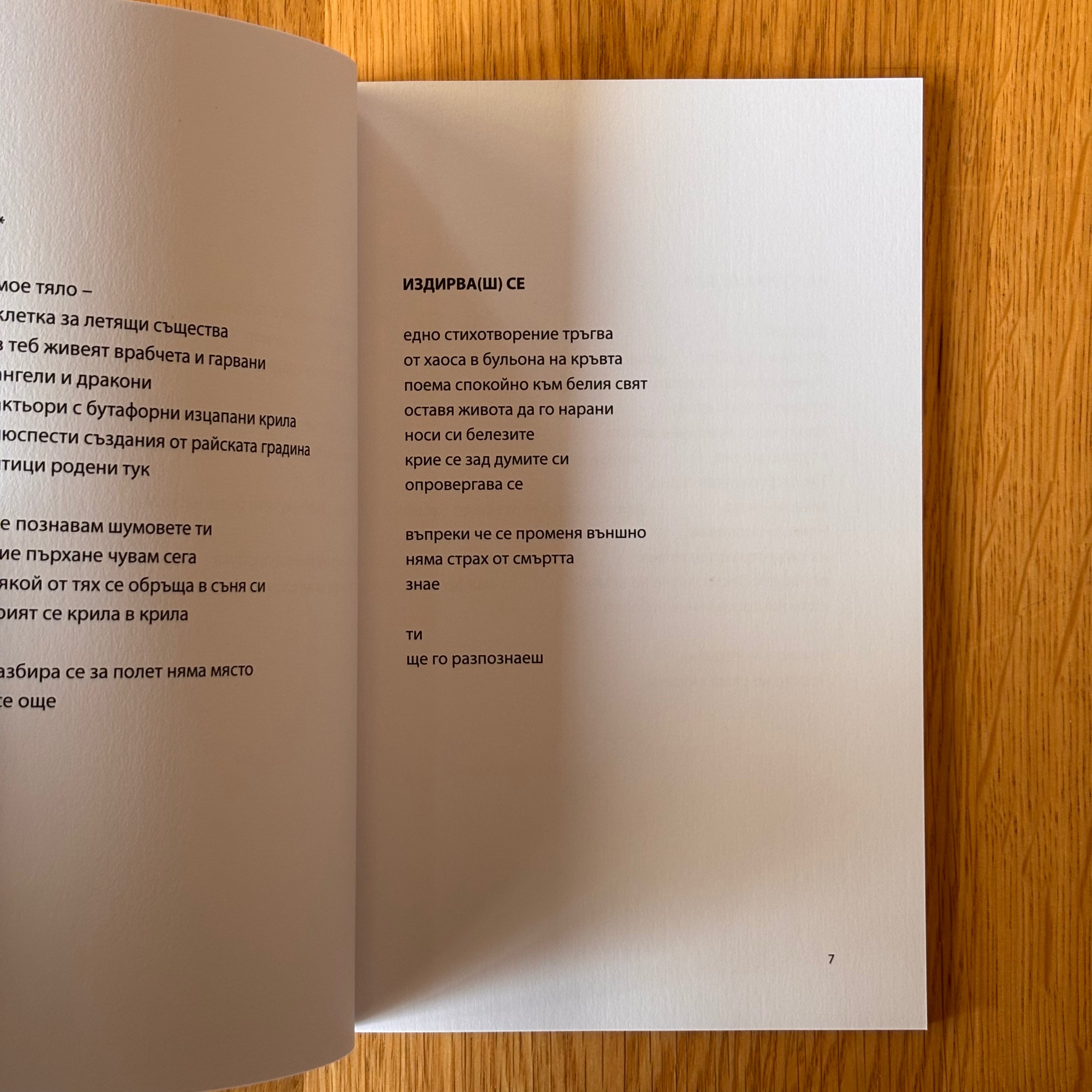 Кучето на Персефона от Виолета Кунева