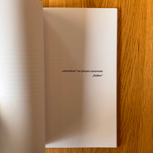 Криле от папиемаше от Ина Иванова