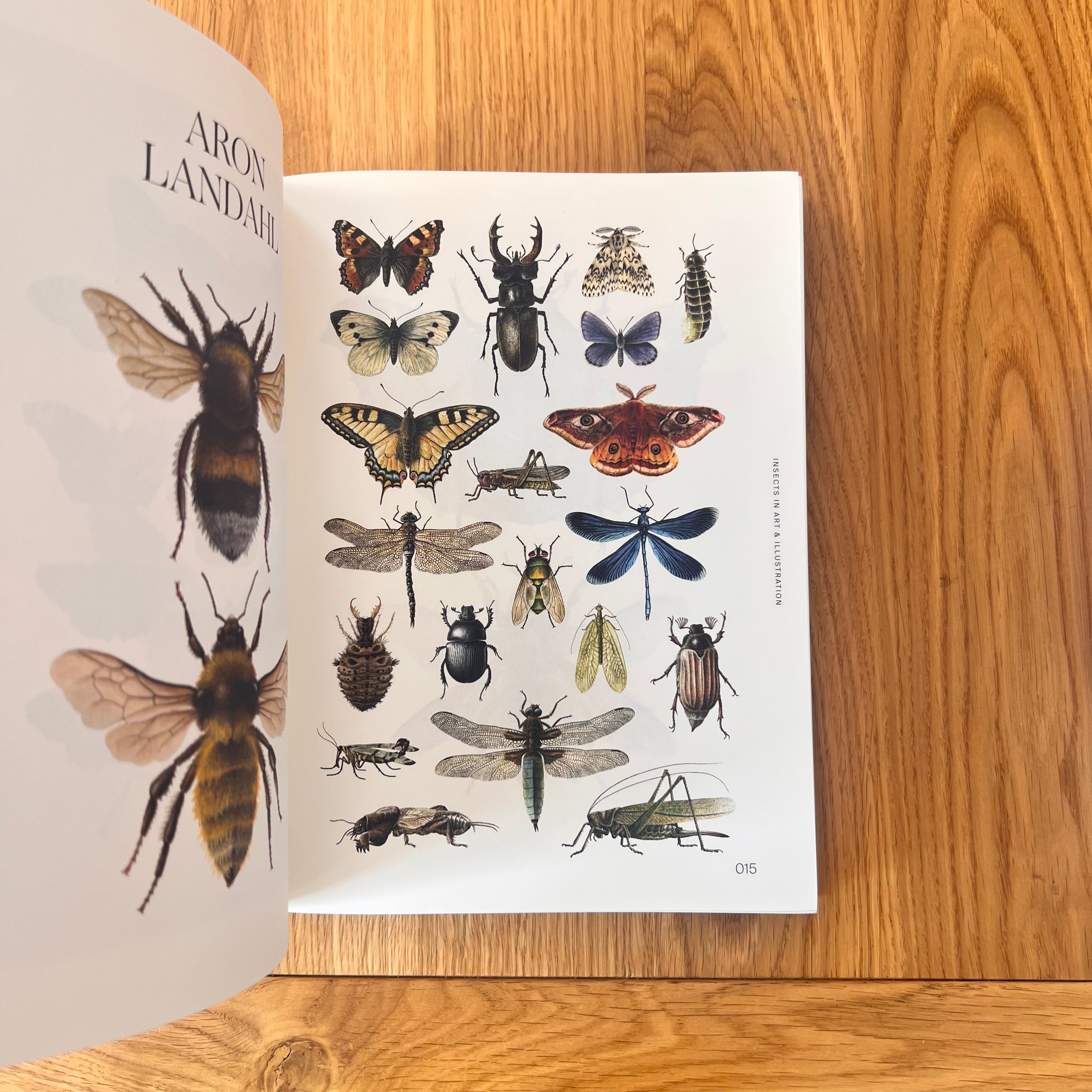 Insectile Inspiration: Insects in Art and Illustration