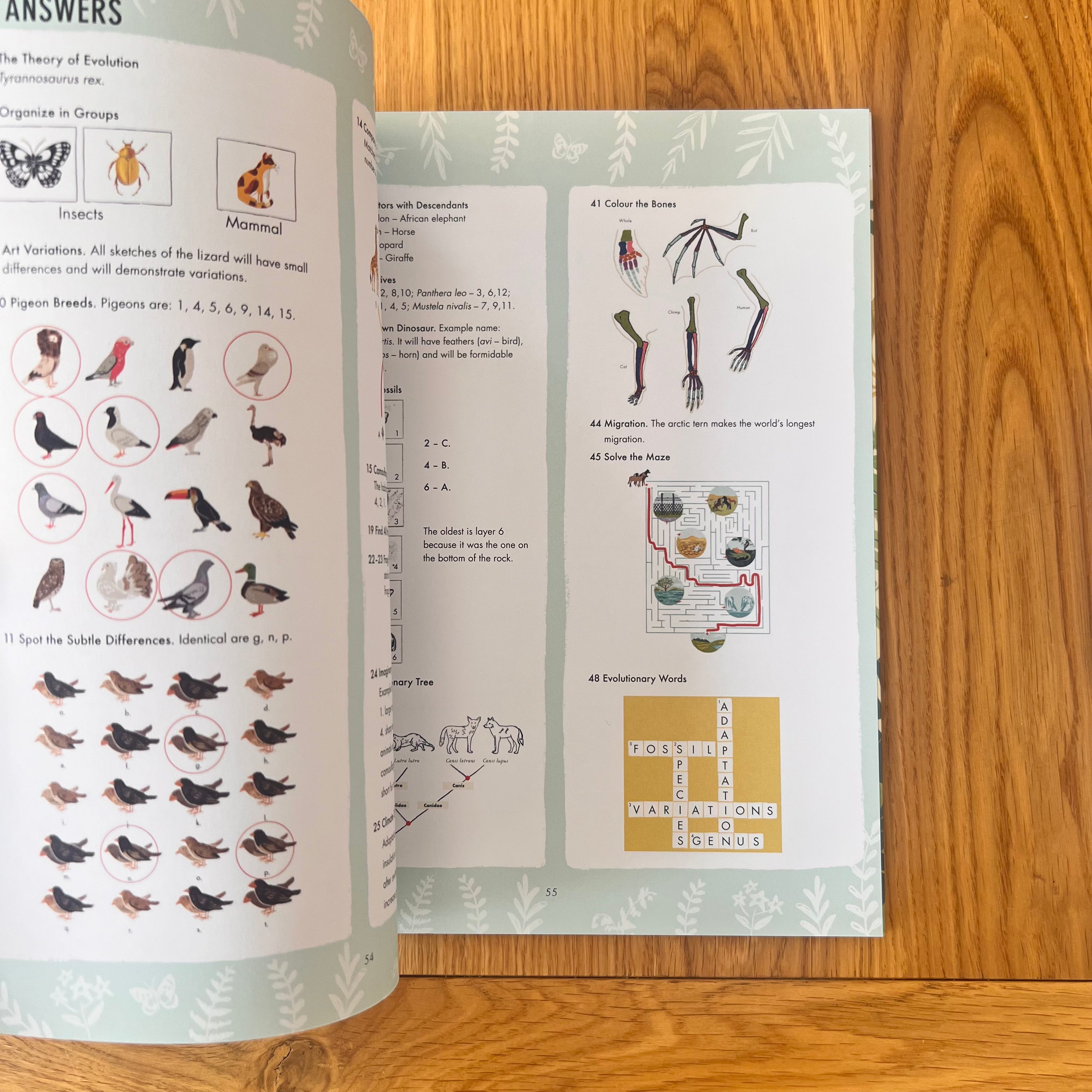 Evolution Colouring and Activity Book by Sabina Radeva