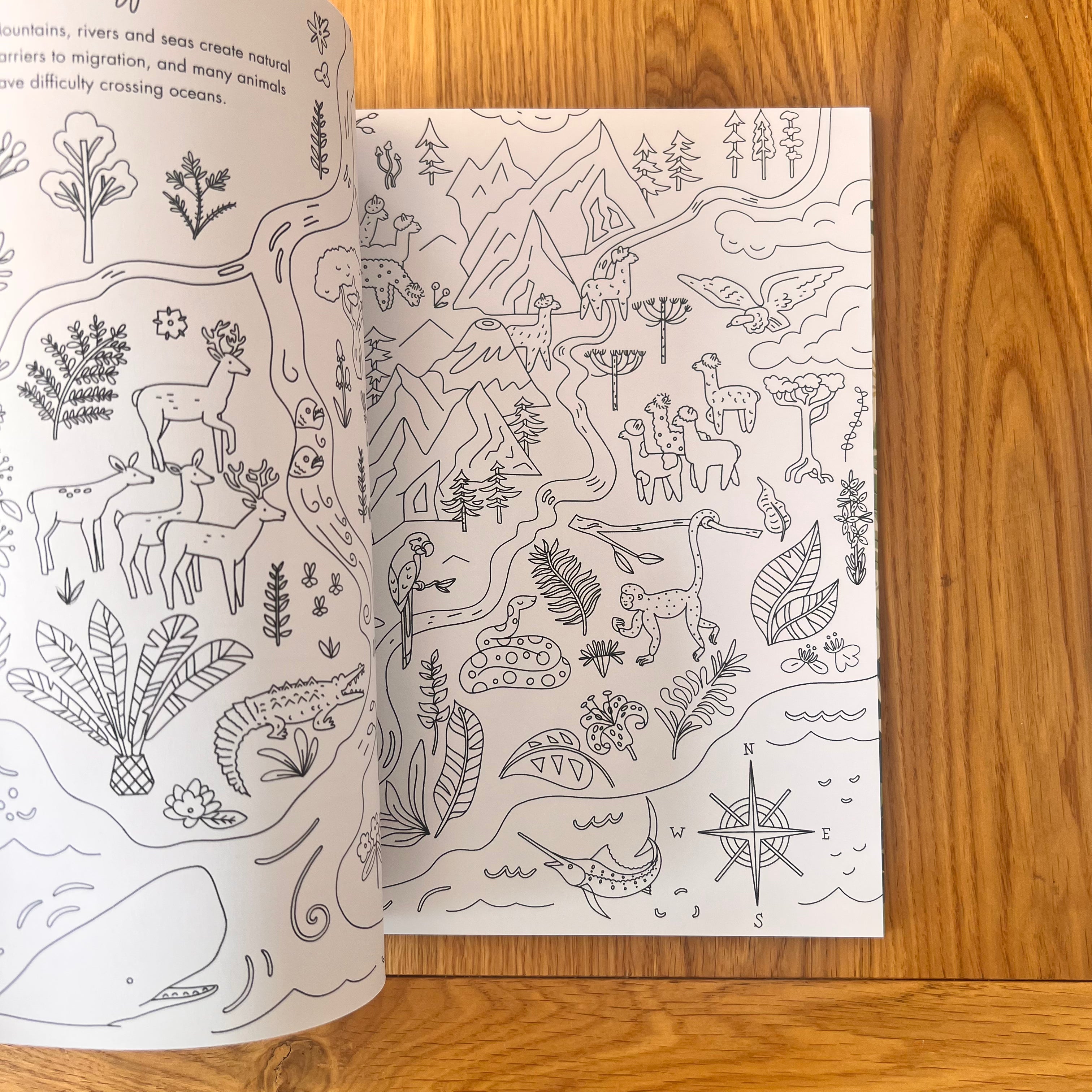 Evolution Colouring and Activity Book by Sabina Radeva