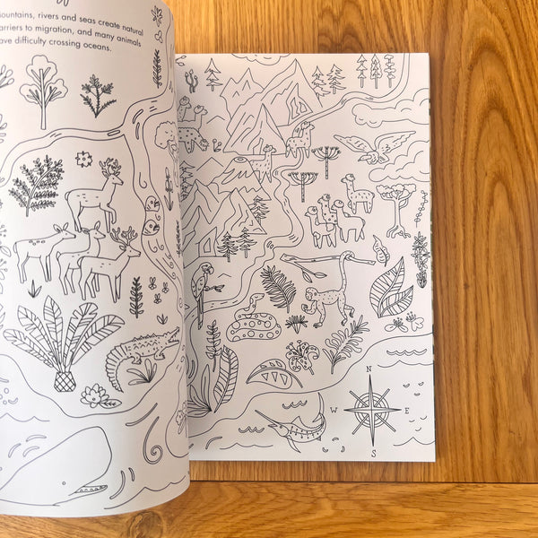 Evolution Colouring and Activity Book by Sabina Radeva
