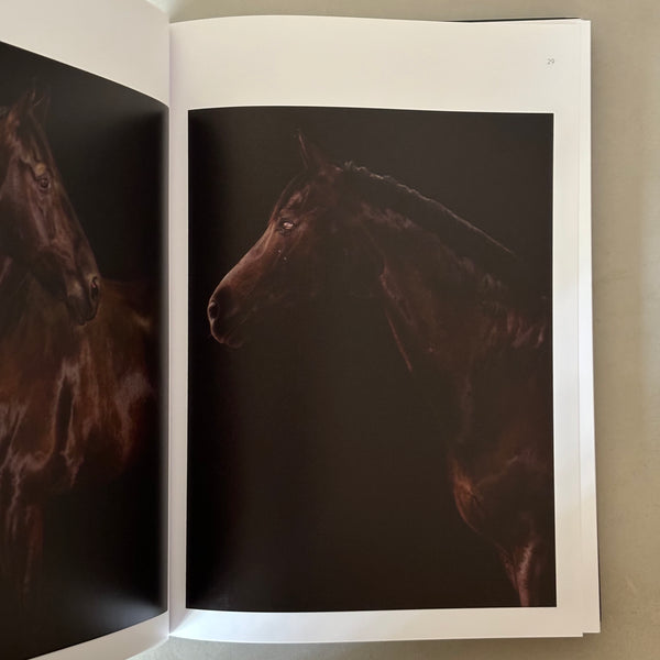 Stars: Equine Portraits by Silvio Maraini