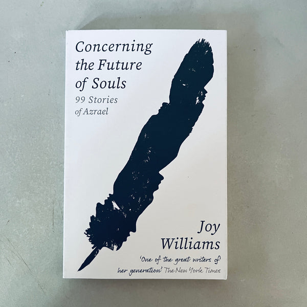 Concerning the Future of Souls by Joy Williams