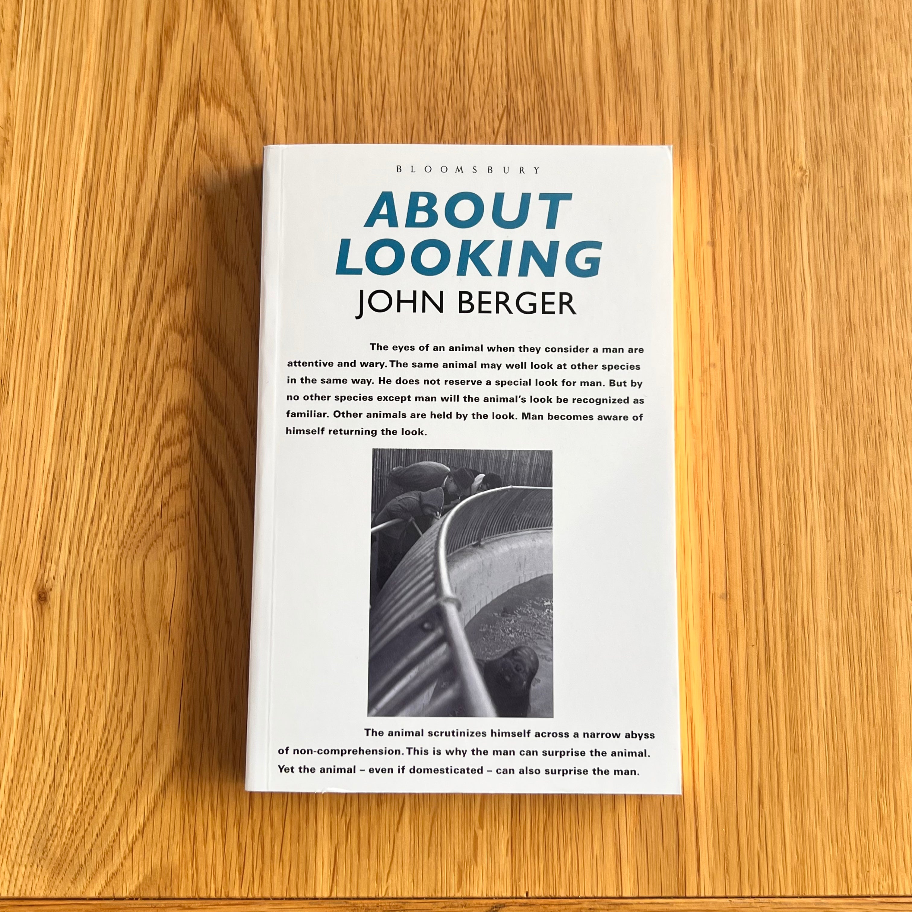 About Looking by John Berger