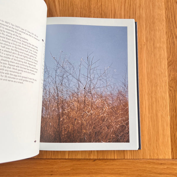 Danube: Recipes and Stories from Eastern Europe by Irina Georgescu