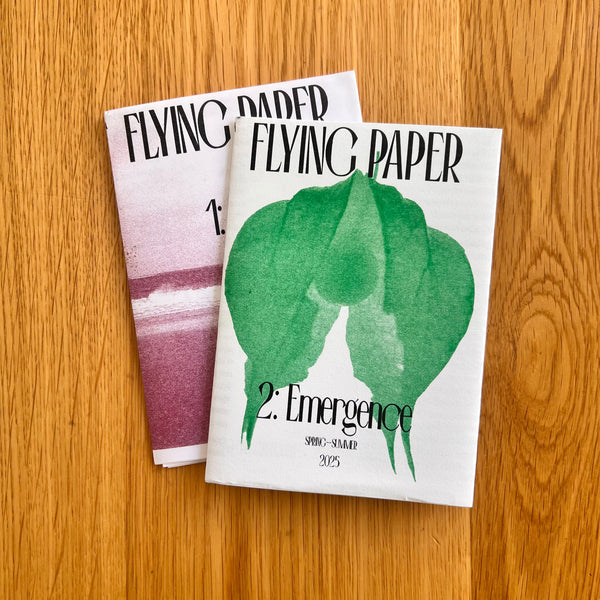 Flying Paper #2: EMERGENCE | ПРОБУЖДАНЕ
