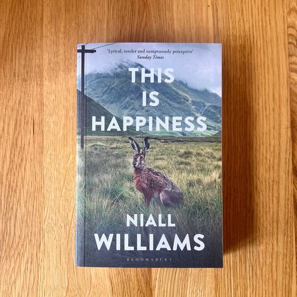 This Is Happiness by Niall Williams