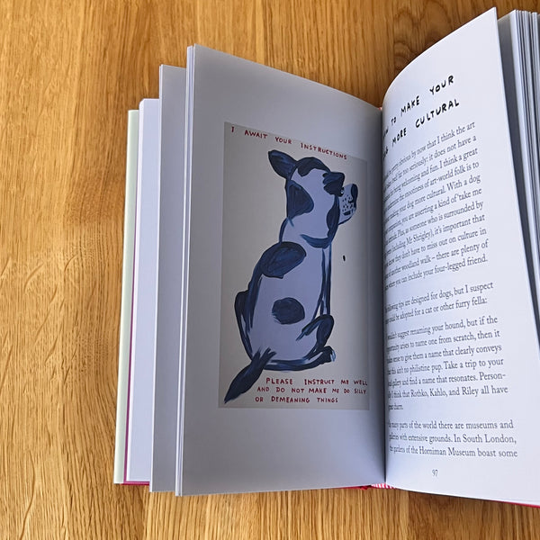 How To Art by Kate Bryan with illustrations by David Shrigley