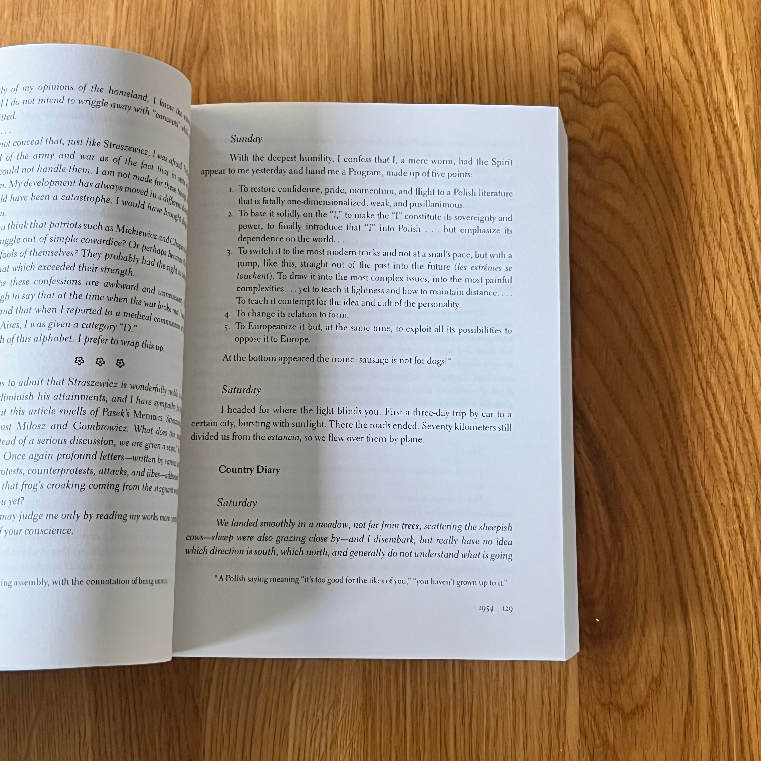 Diary by Witold Gombrowicz