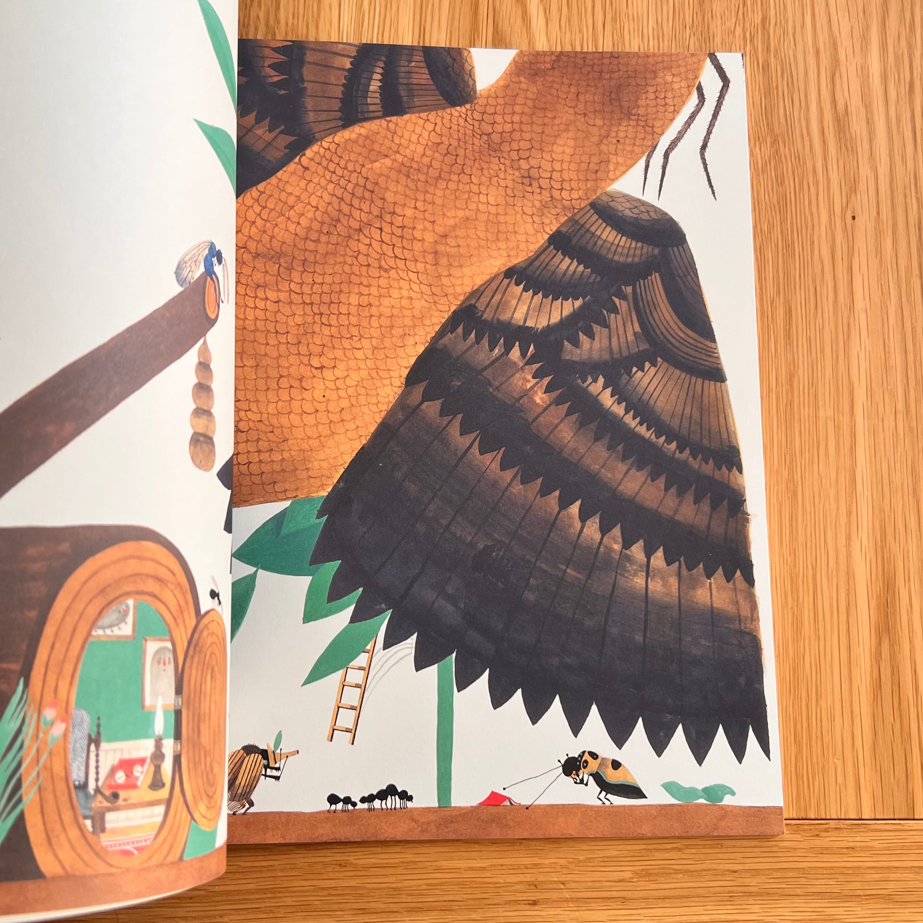 Du Iz Tak? by Carson Ellis