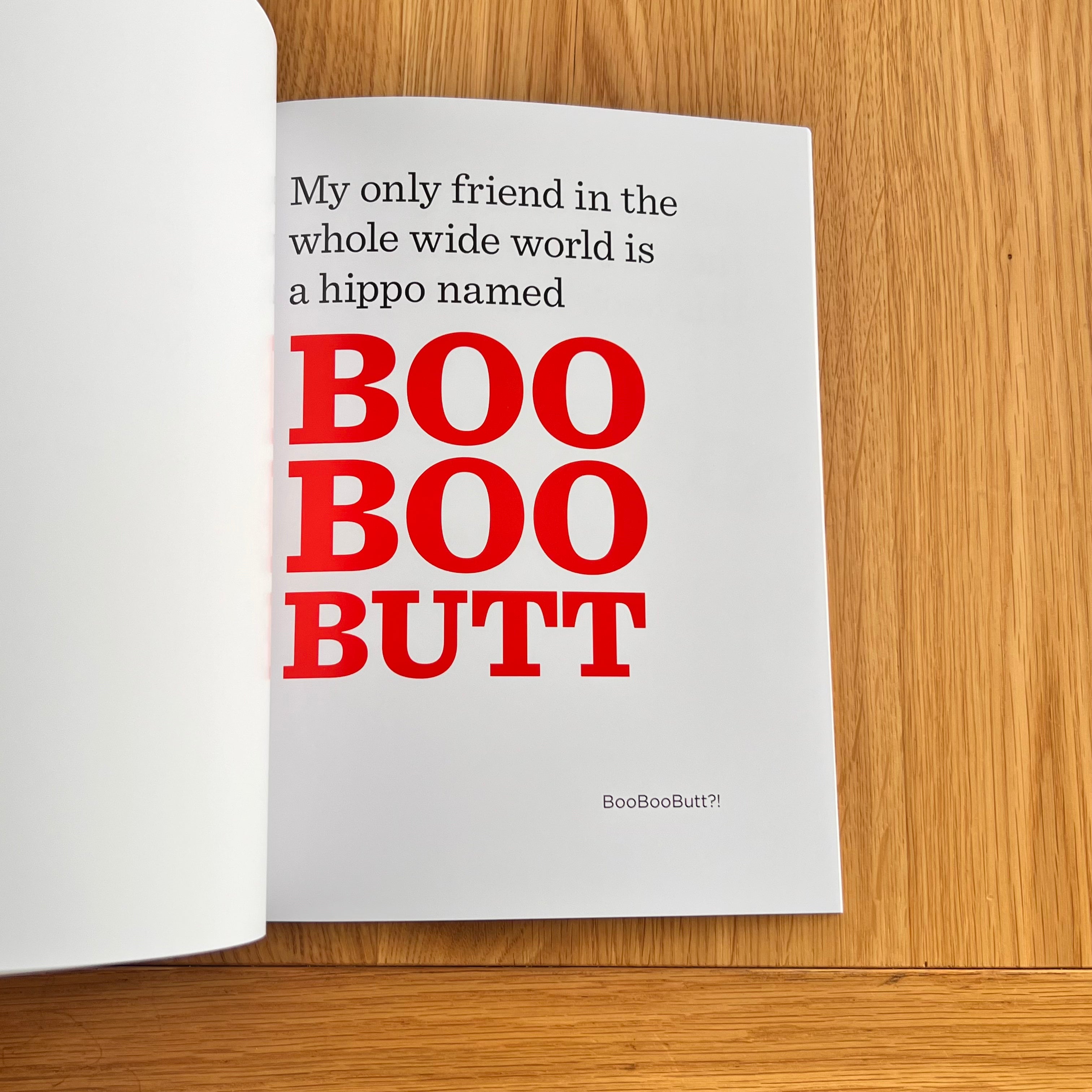 The Book with No Pictures by B.J. Novak