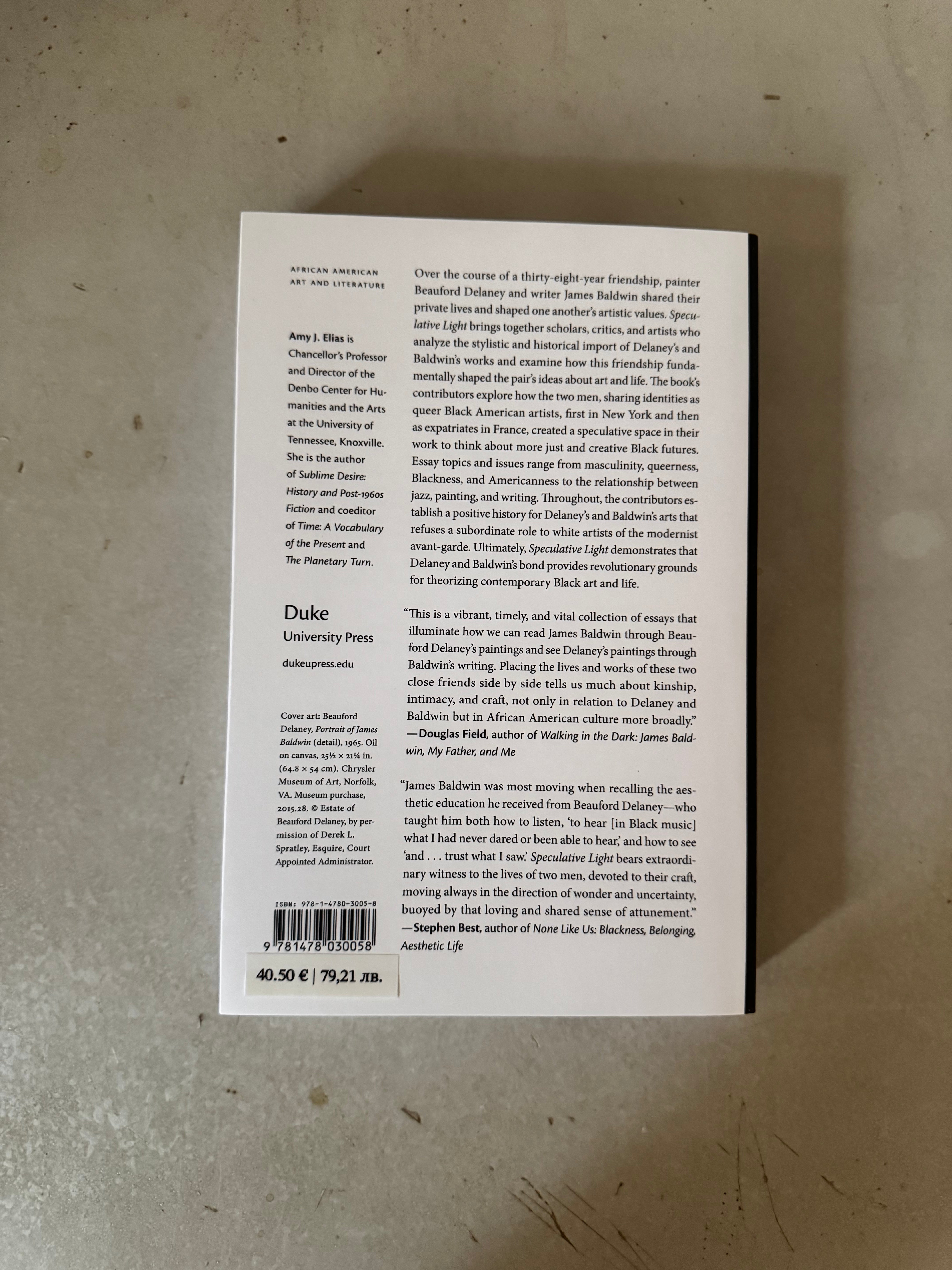 Speculative Light : The Arts of Beauford Delaney and James Baldwin by Amy J. Elias