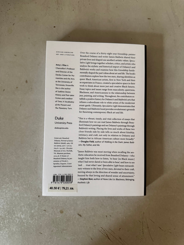 Speculative Light : The Arts of Beauford Delaney and James Baldwin by Amy J. Elias