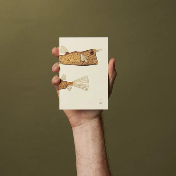 paper republic x Dybdahl | dotted paper [pocket]