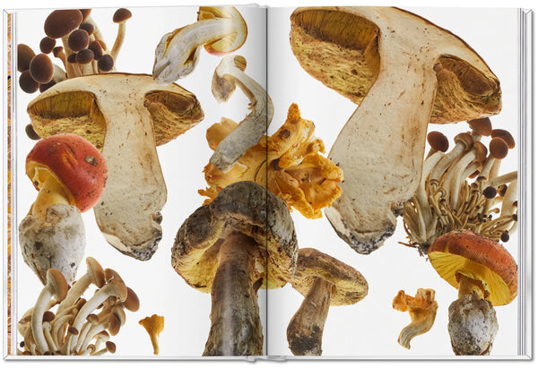 The Gourmand's Mushroom. A Collection of Stories and Recipes
