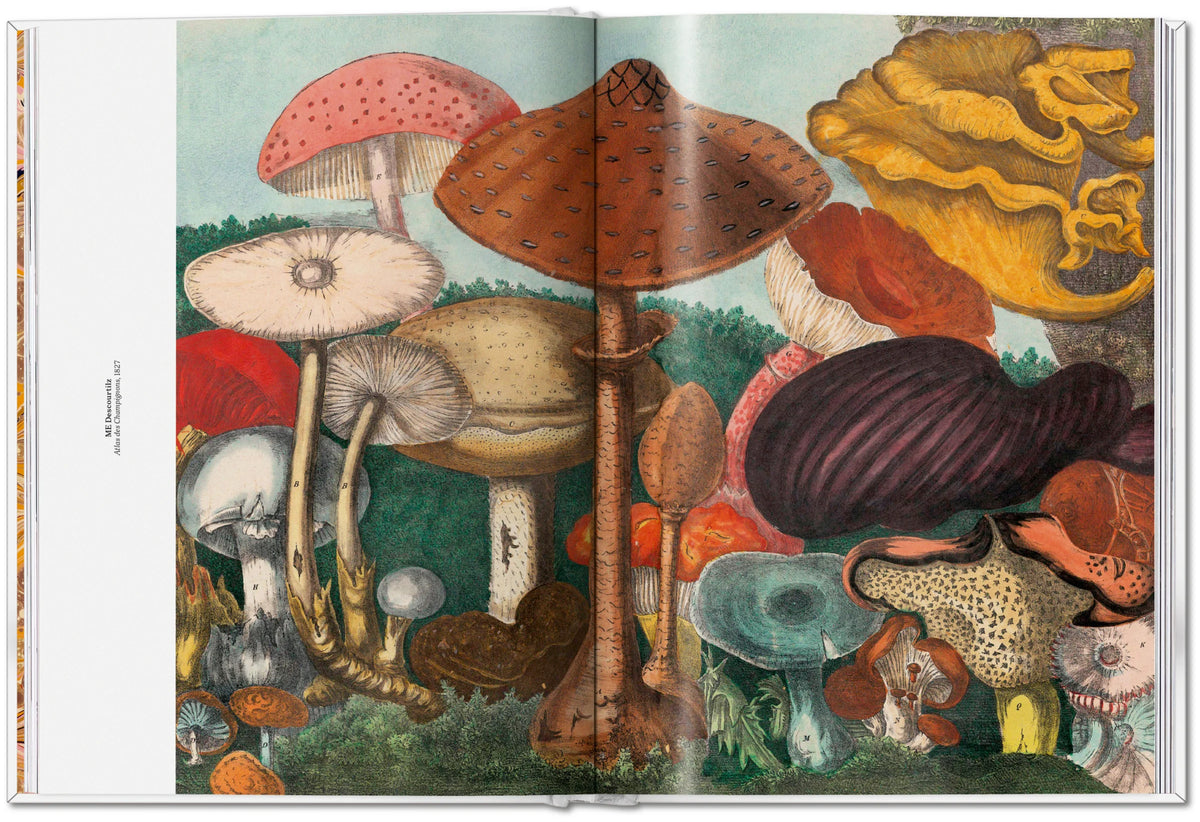 The Gourmand's Mushroom. A Collection of Stories and Recipes
