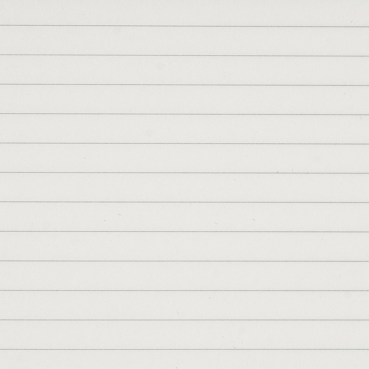 paper republic | book refill | ruled paper [XL]