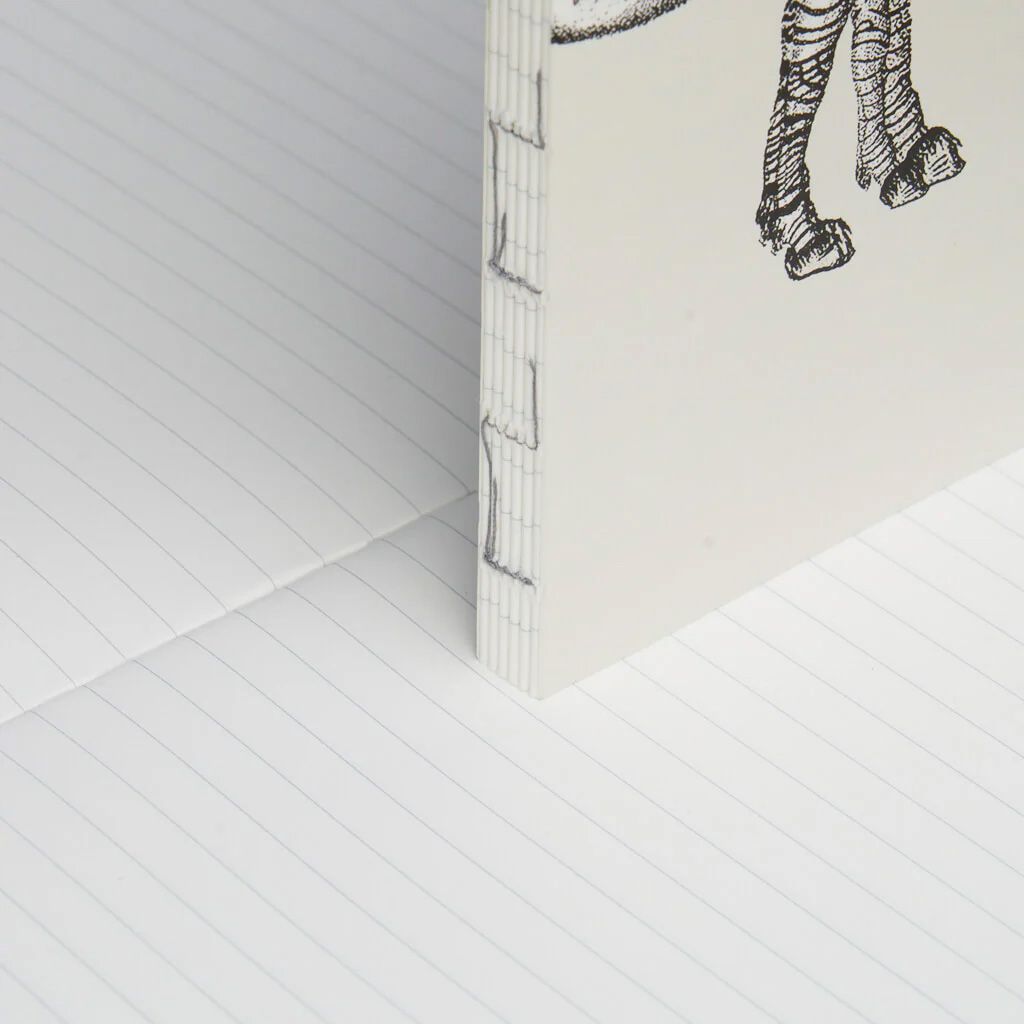 paper republic x Dybdahl | ruled paper [XL]