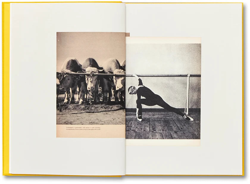 Handbook of the Spontaneous Other by Aikaterini Gegisian