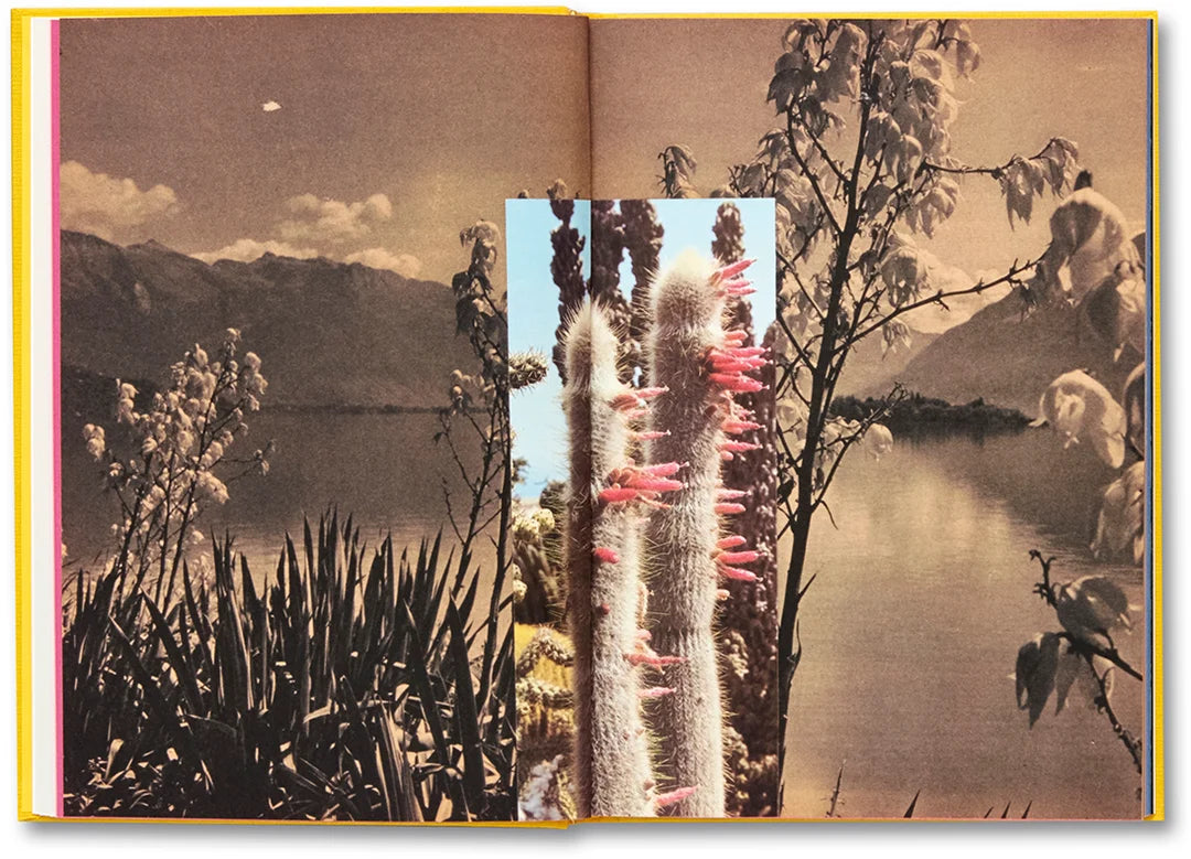 Handbook of the Spontaneous Other by Aikaterini Gegisian