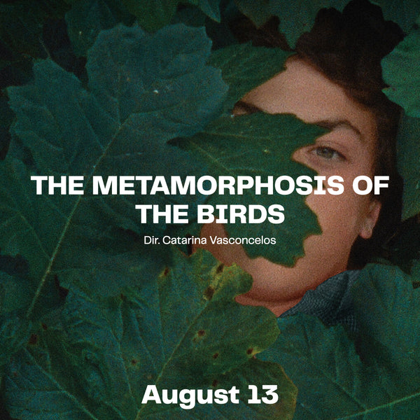 Cinema | August 13 | 20:00 | The Metamorphosis of Birds