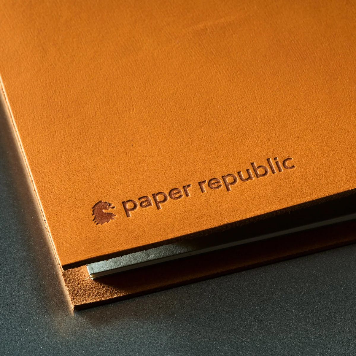 paper republic | grand voyageur [XL] | Firenze