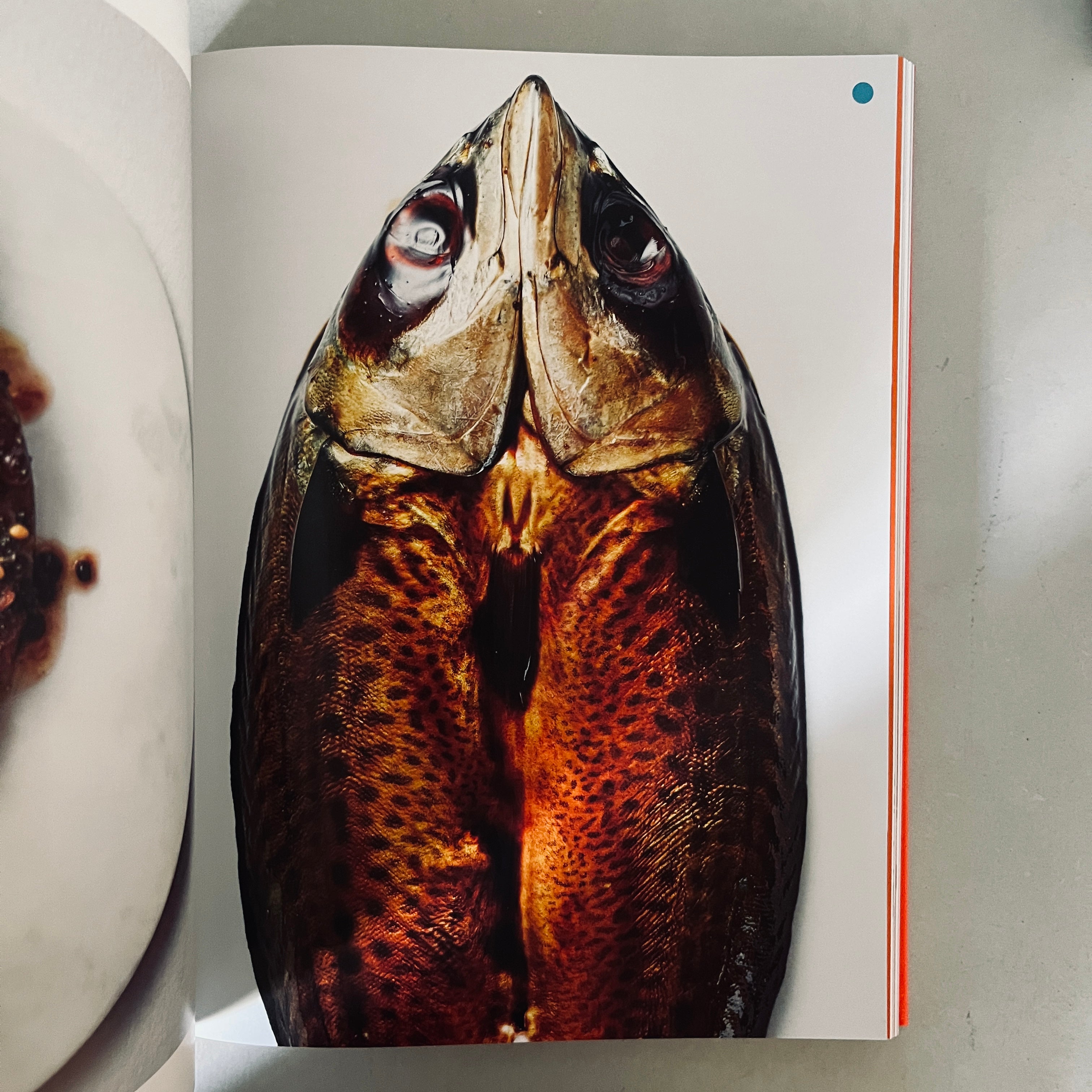 Take One Fish by Josh Niland