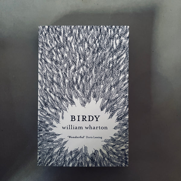 Birdy by William Wharton