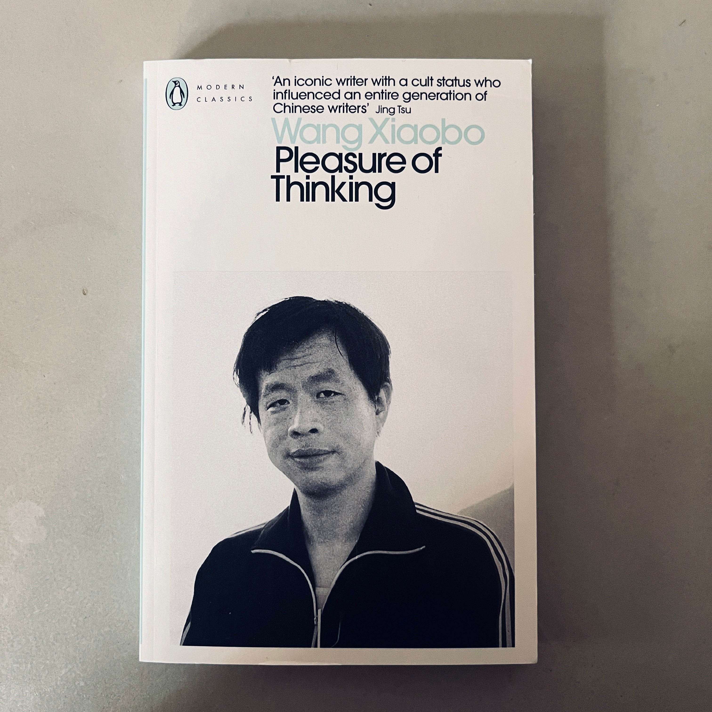 Pleasure of Thinking by Wang Xiaobo