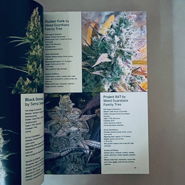 Cannabis Grower's Handbook by Ed Rosenthal