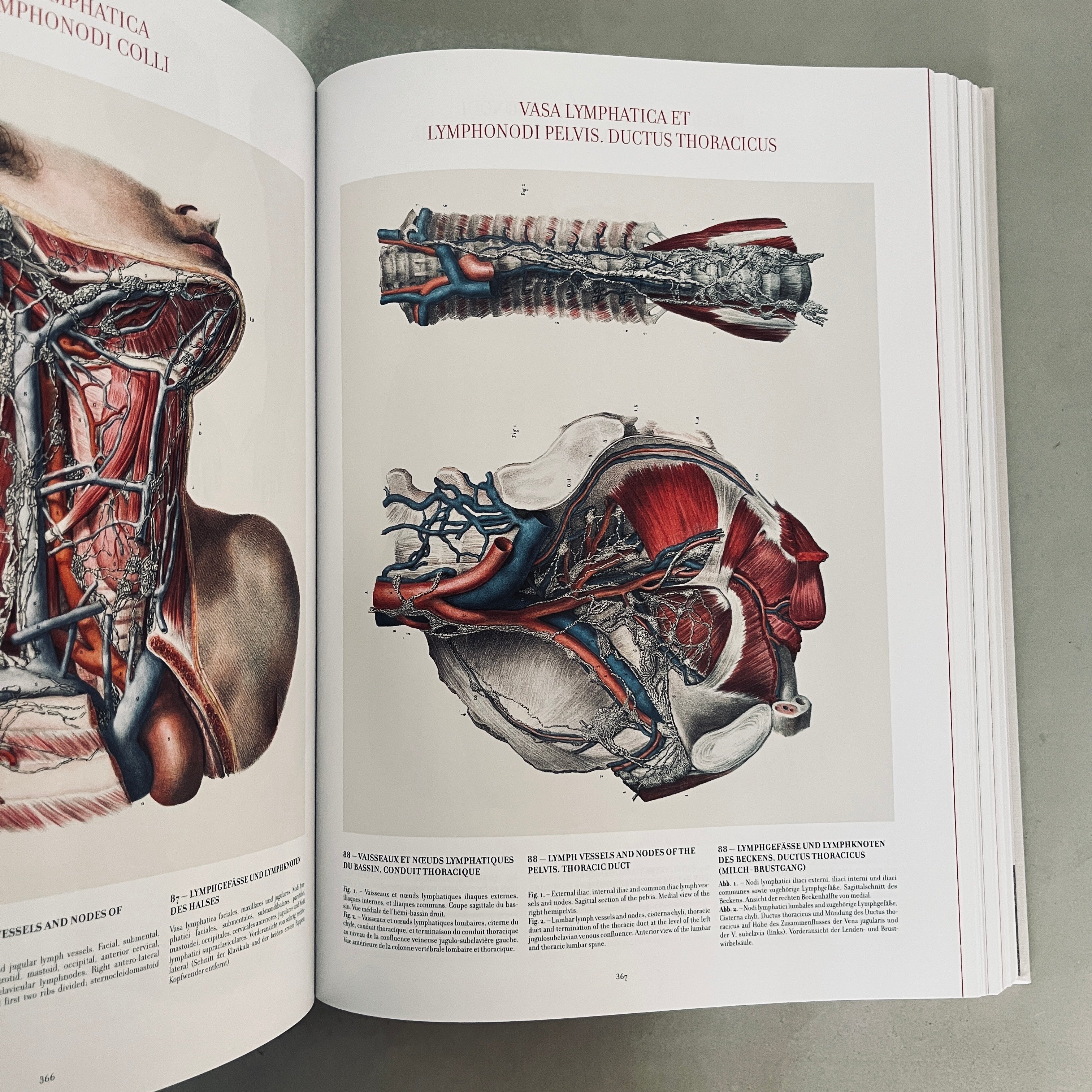 The Complete Atlas of Human Anatomy and Surgery