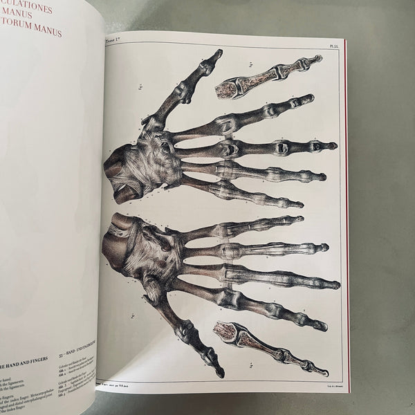 The Complete Atlas of Human Anatomy and Surgery