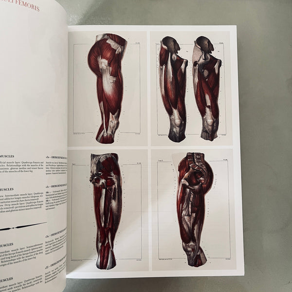 The Complete Atlas of Human Anatomy and Surgery