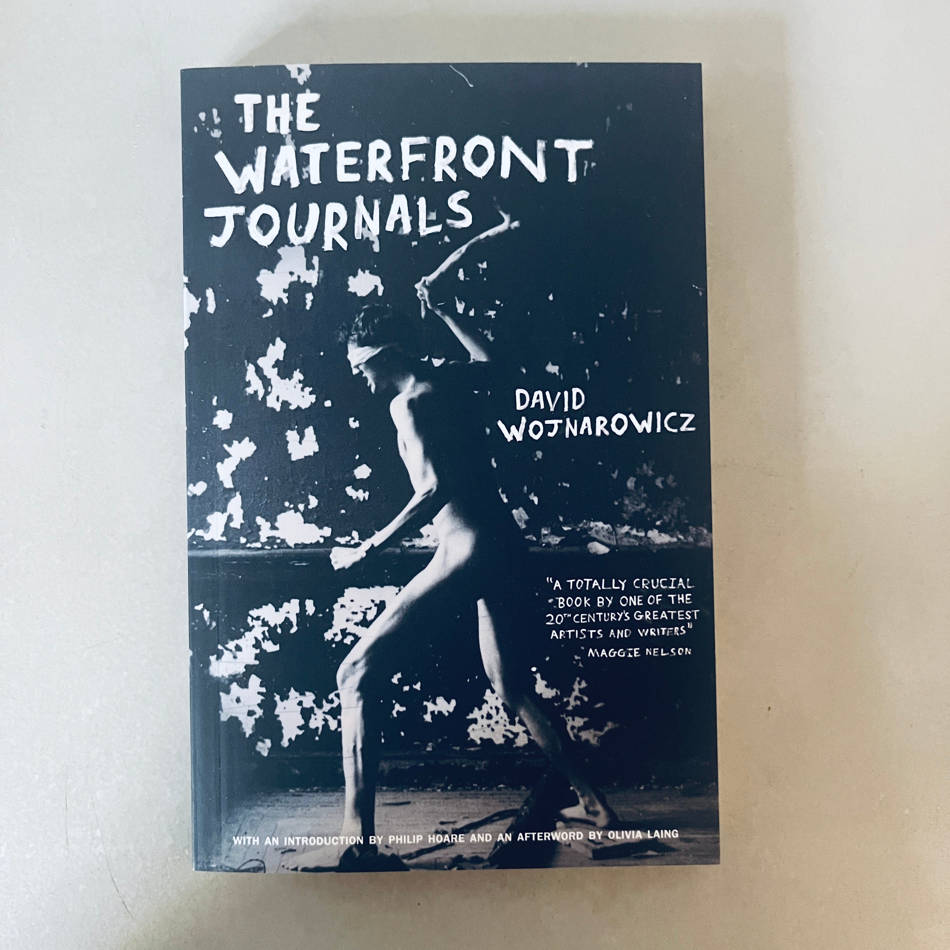 The Waterfront Journals by David Wojnarowicz