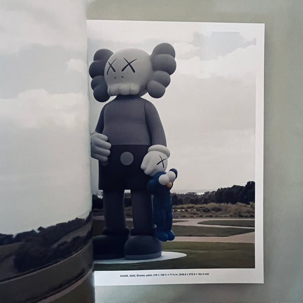 KAWS: WHAT PARTY by Eugenie Tsai