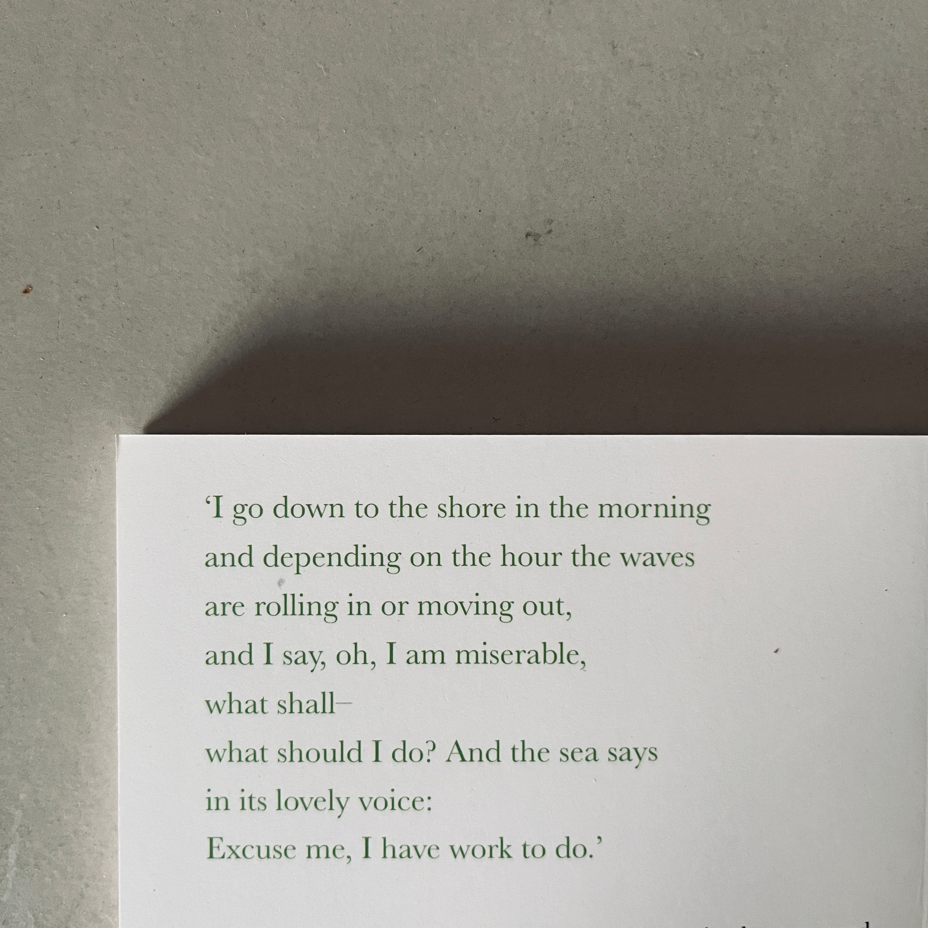 A Thousand Mornings by Mary Oliver