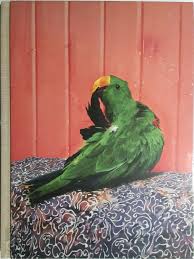 Malleus Maleficarum by Virginie Rebetez