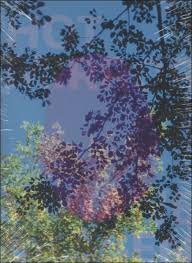 Viviane Sassen: Hot Mirror by Eleanor Clayton