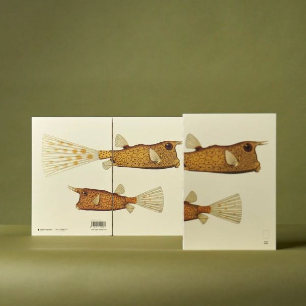 paper republic x Dybdahl | dotted paper [pocket]