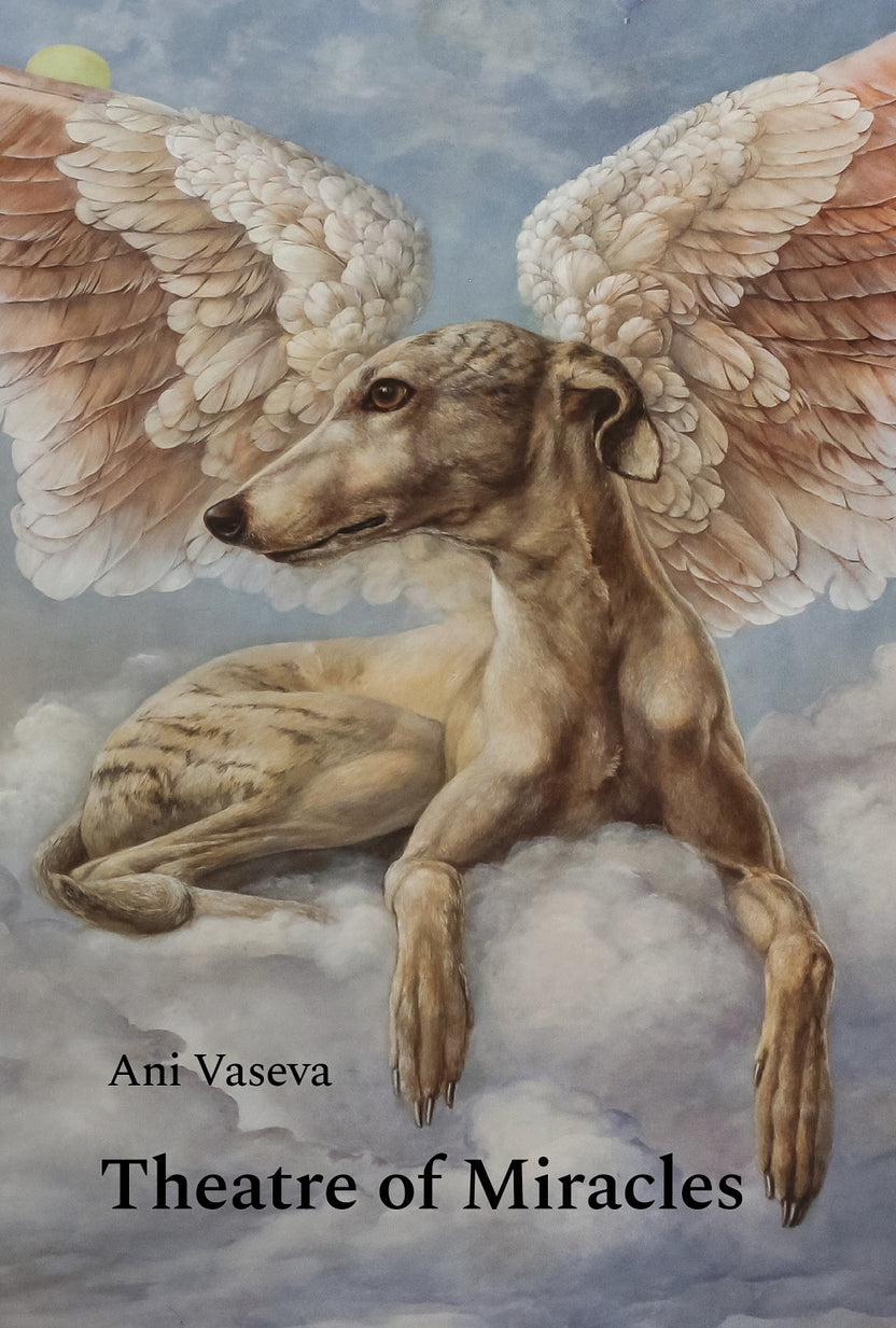 Theatre of Miracles by Ani Vaseva