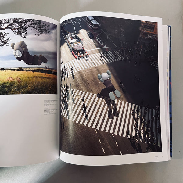 KAWS by Dan Nadel, Thomas Crow, Clare Lilley