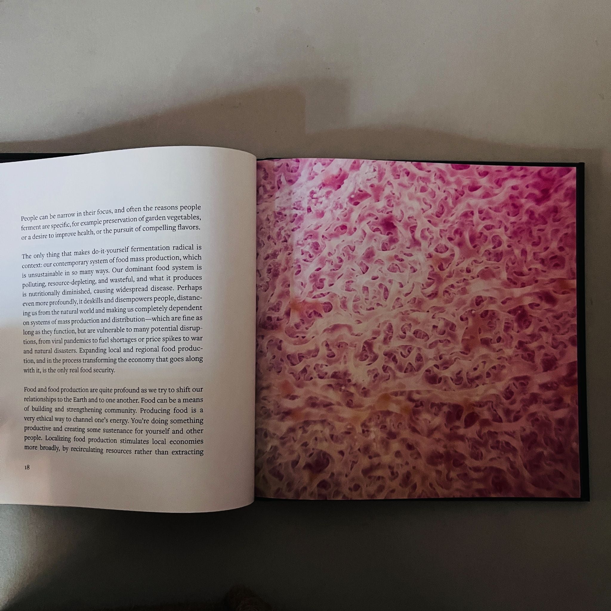 Fermentation as Metaphor by Sandor Ellix Katz